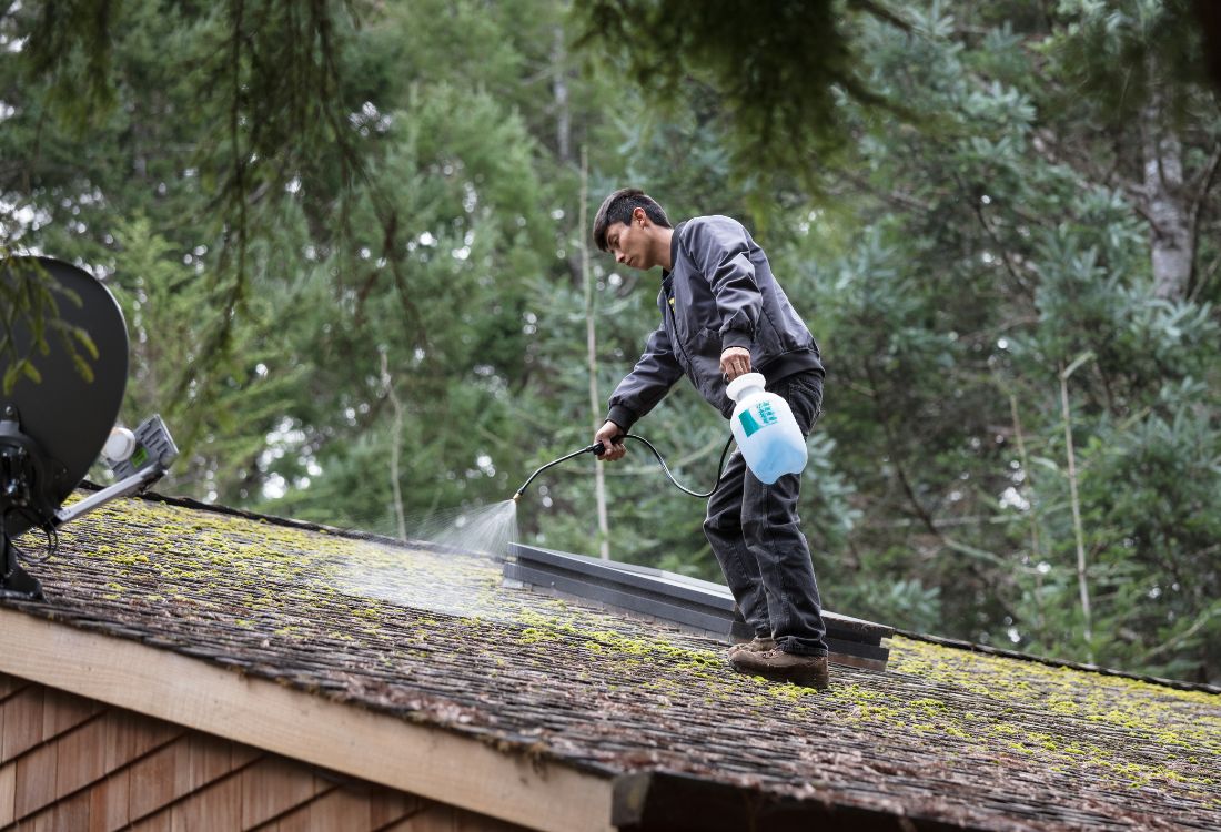 How does moss affect your roof?